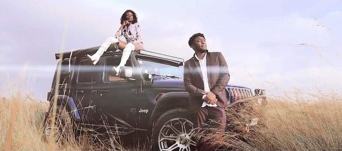 Djanii Alfa - 