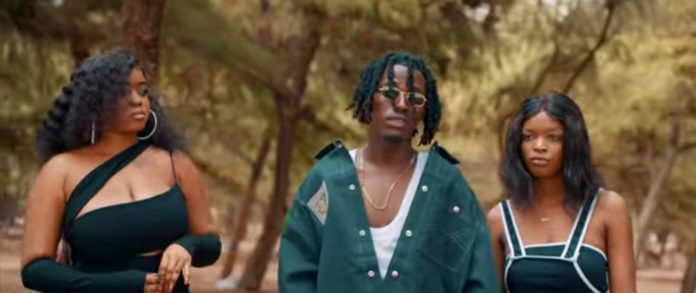 Thierno Wizzy dévoile son clip 